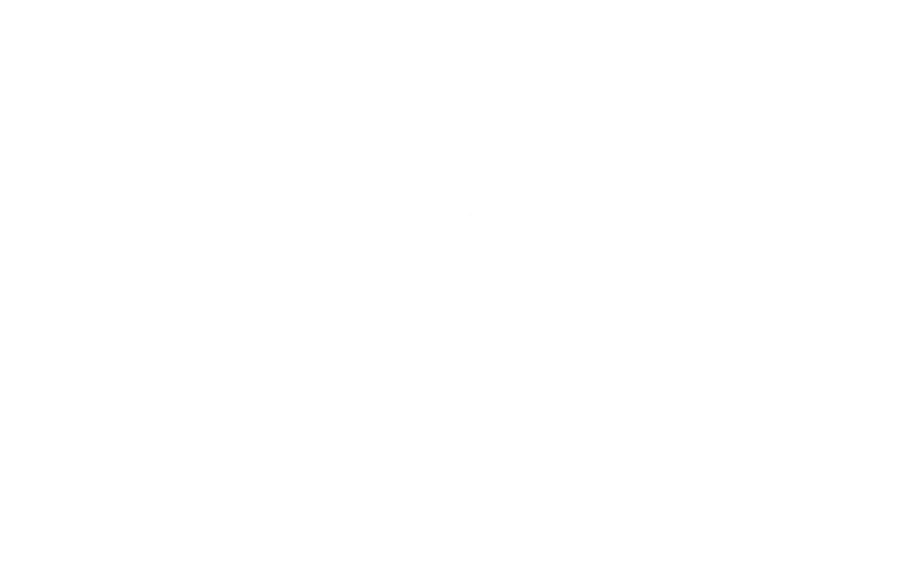 light logo
